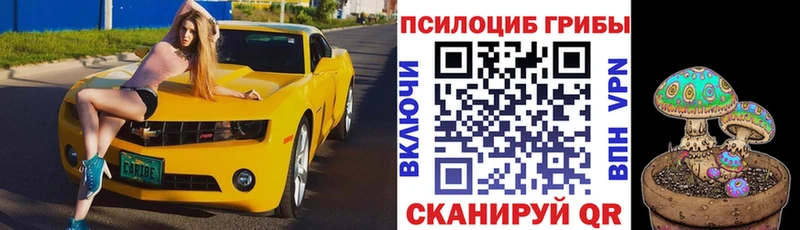 Псилоцибиновые грибы Psilocybine cubensis площадка Telegram Армянск купить наркотик